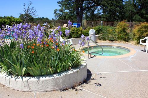 Shenandoah Inn, MAJOR CREDIT CARDS REQUIRED for check in Plymouth Bagian luar foto